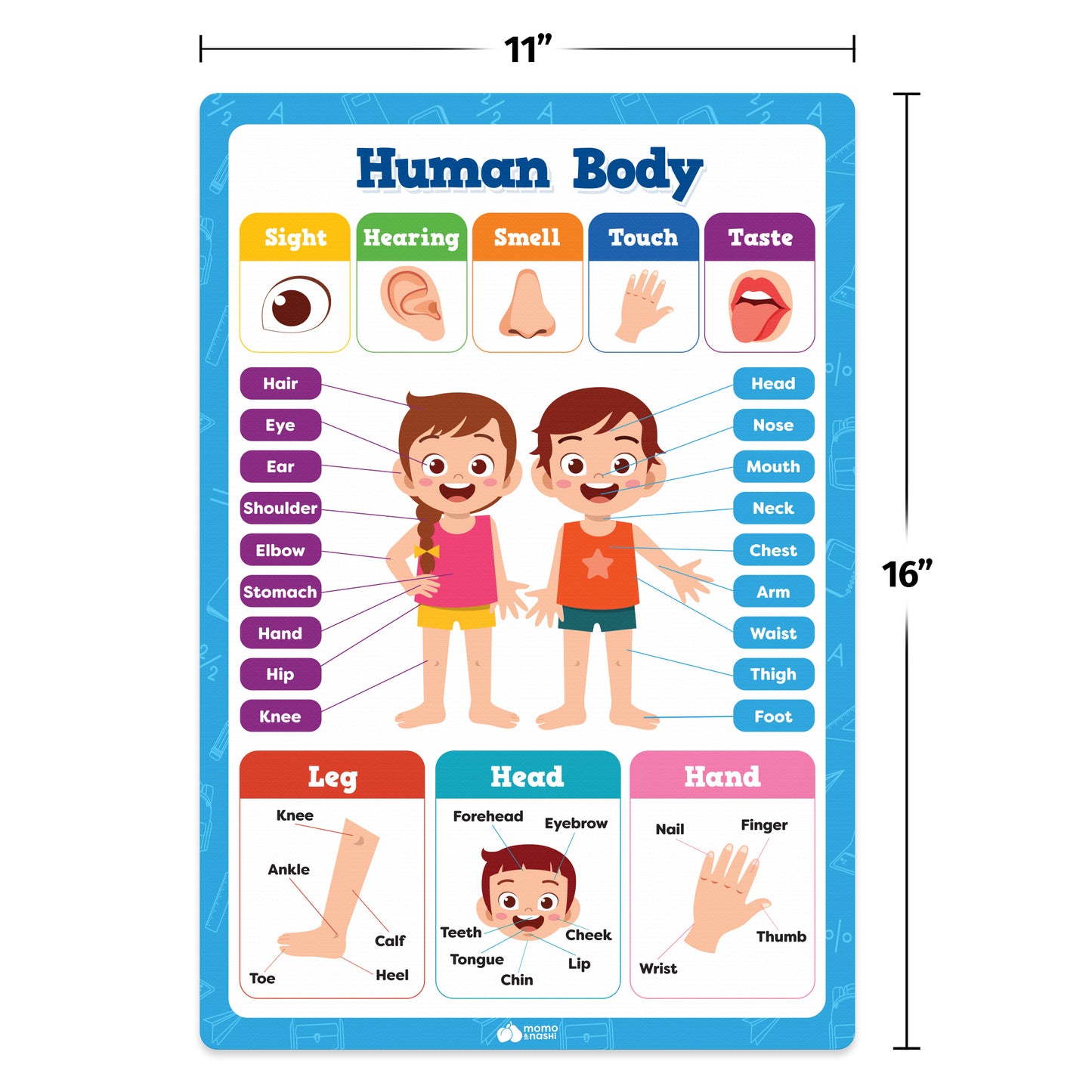 Classroom Posters Set for Preschoolers - 20 Pieces